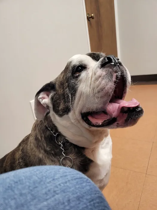 Osborne Animal Clinic 4
