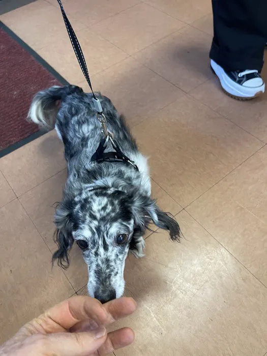 Osborne Animal Clinic 3