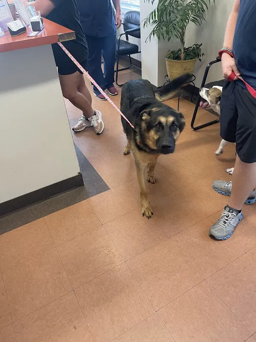 Osborne Animal Clinic 5