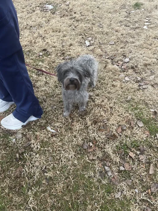 Osborne Animal Clinic 6