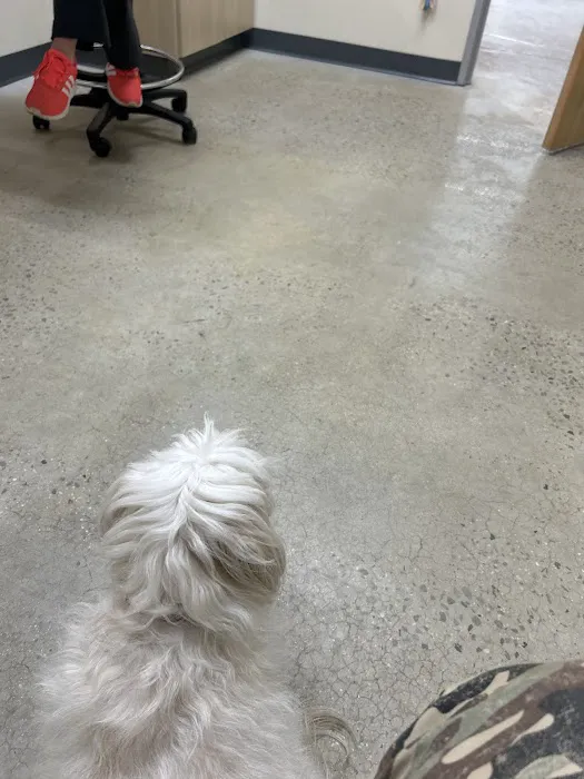 Vetco Total Care Animal Hospital 4