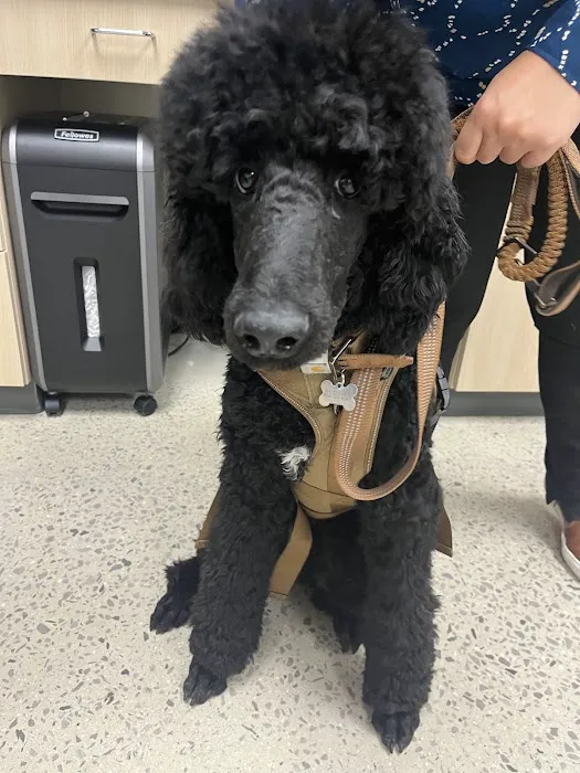 Vetco Total Care Animal Hospital 9