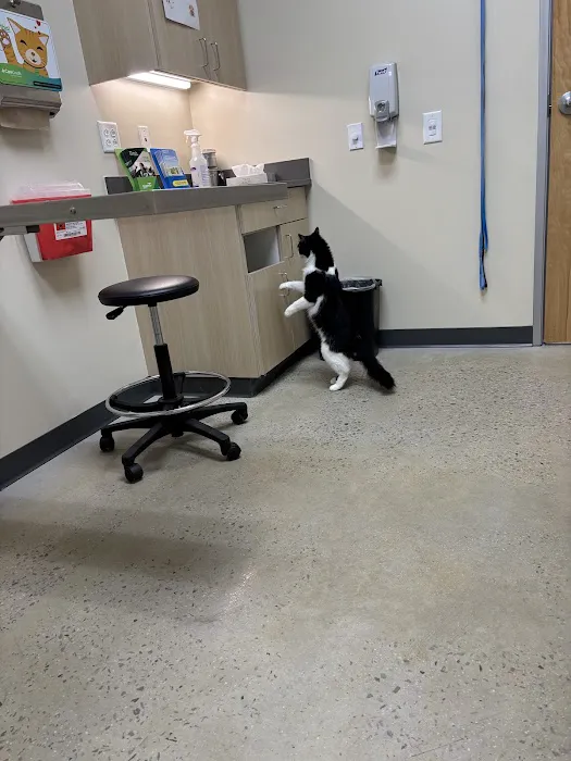 Vetco Total Care Animal Hospital 8
