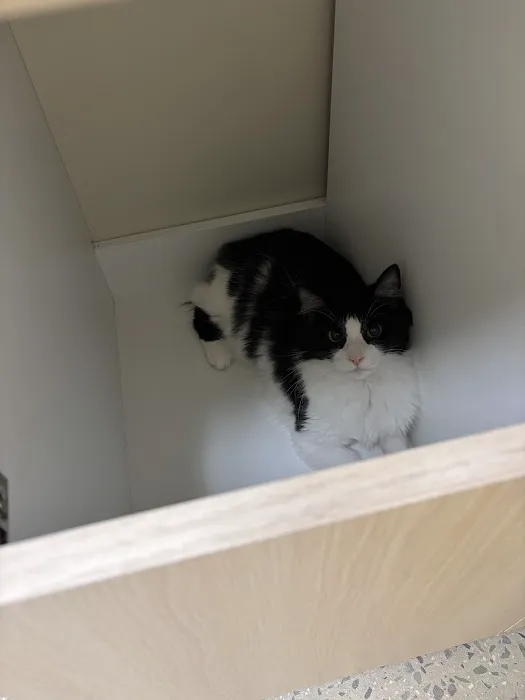 Vetco Total Care Animal Hospital 7