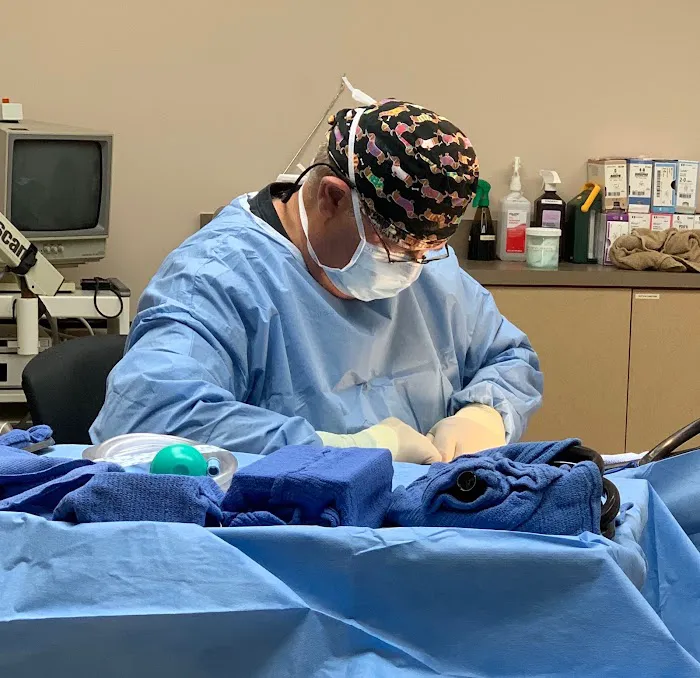 Veterinary Regional Referral Hospital 8
