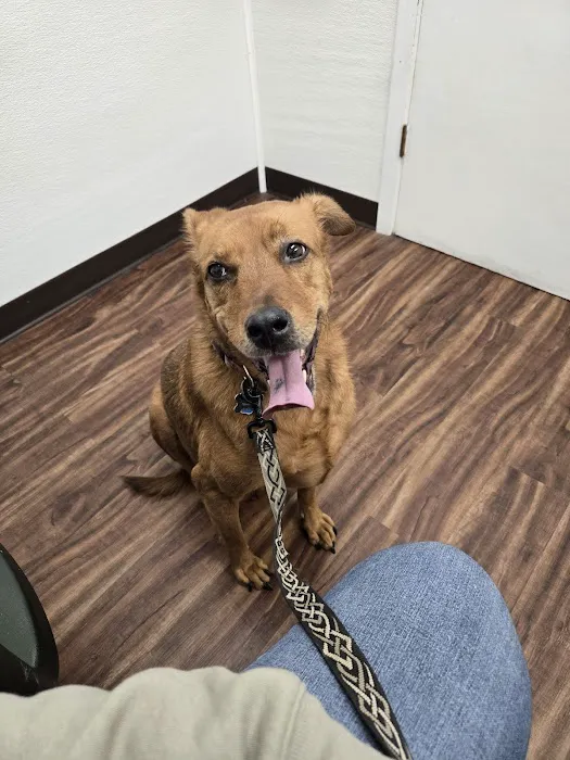 Henderson County Animal Clinic 1