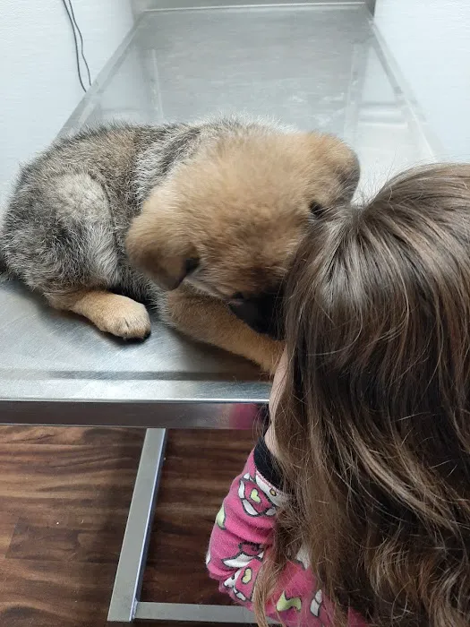Henderson County Animal Clinic 2