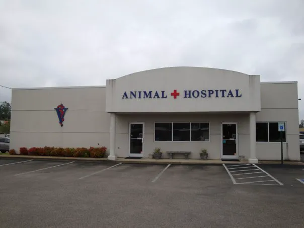 Beech Lake Animal Hospital 3