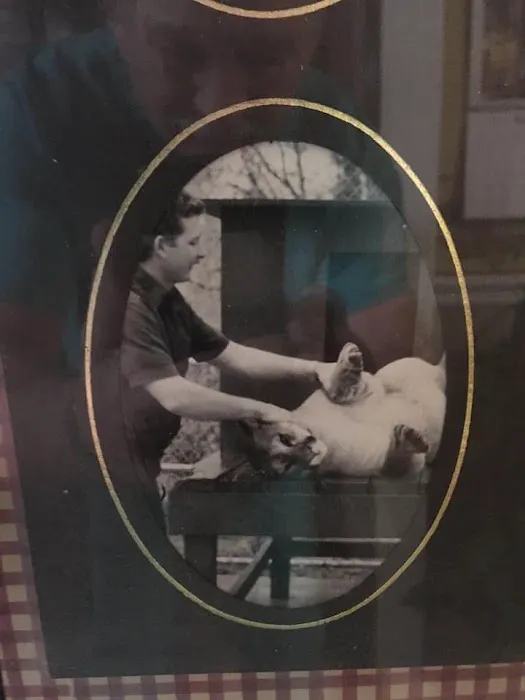 Lexington Animal Hospital: Dr. Davis R C DVM 3