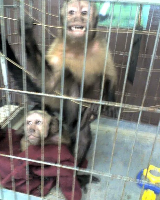 Lexington Animal Clinic 7