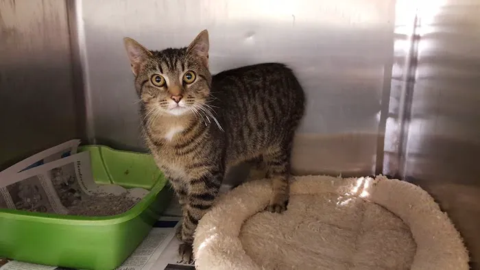 Lexington Animal Clinic 9