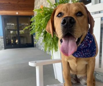 Southcentral Veterinary Services