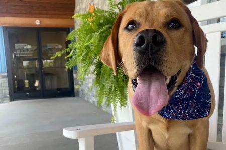 Southcentral Veterinary Services