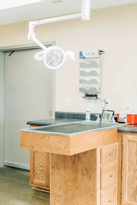 Southcentral Veterinary Services 12