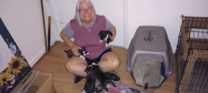 Riverside Animal Clinic 2