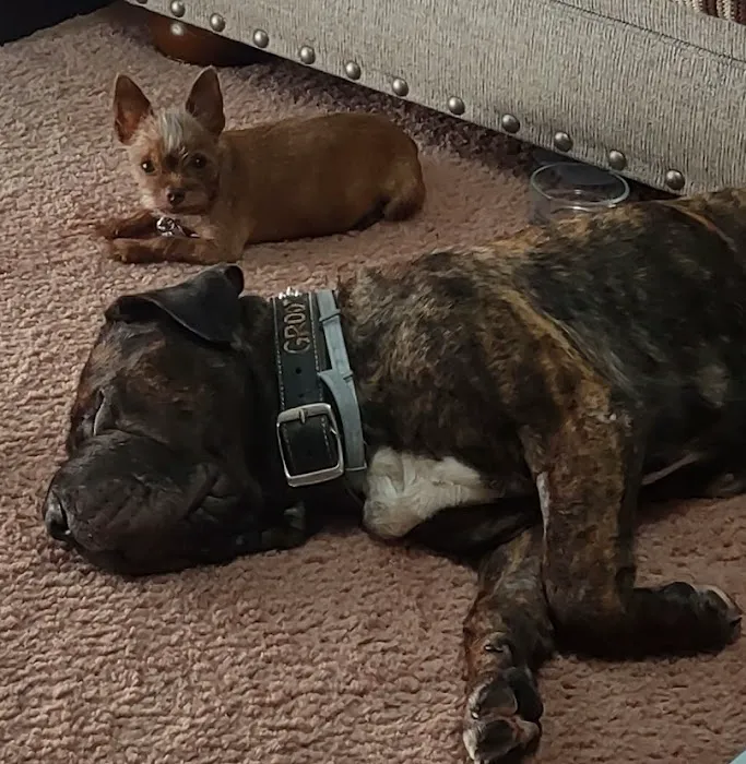 Riverside Animal Clinic 3