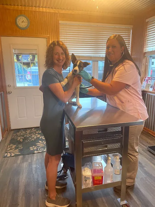 Southern Equine Veterinary Services 12