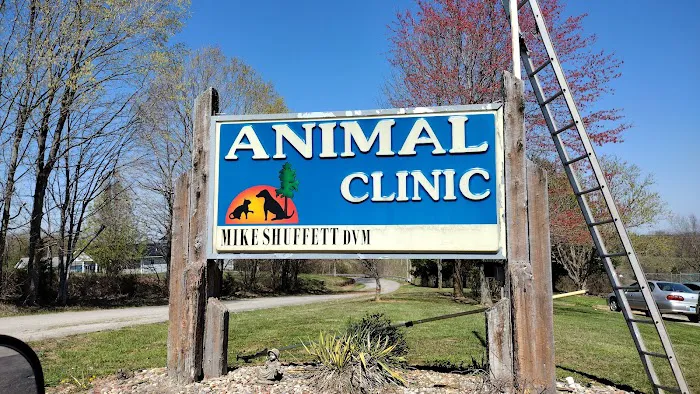 Animal Clinic The 12