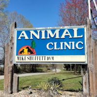 Animal Clinic The ico