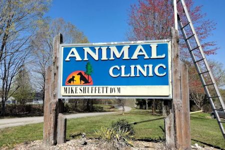 Animal Clinic The