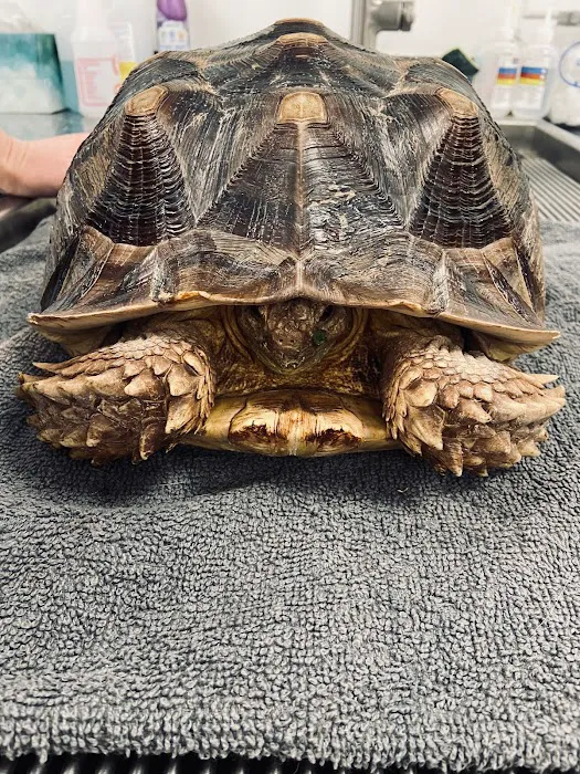 WildThings Animal Hospital 6