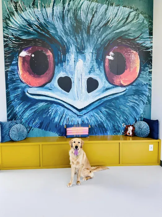 WildThings Animal Hospital 10