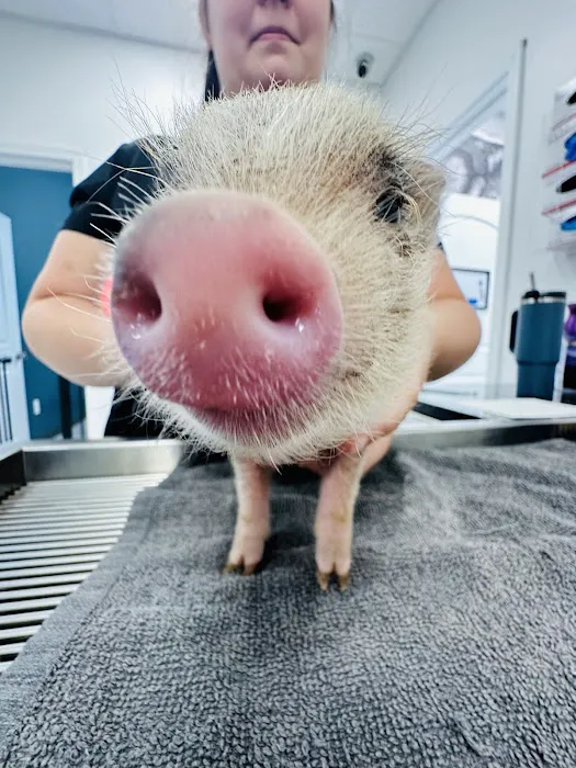 WildThings Animal Hospital 9