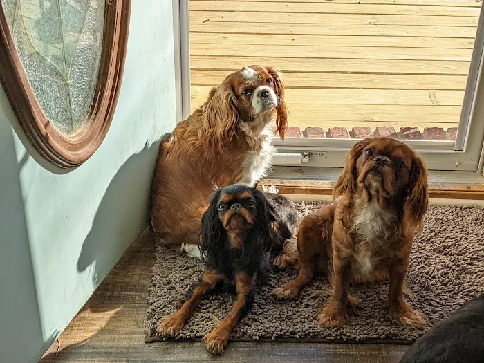 Pleasant View Animal Hospital 7