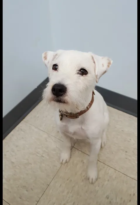 Pleasant View Animal Hospital 9
