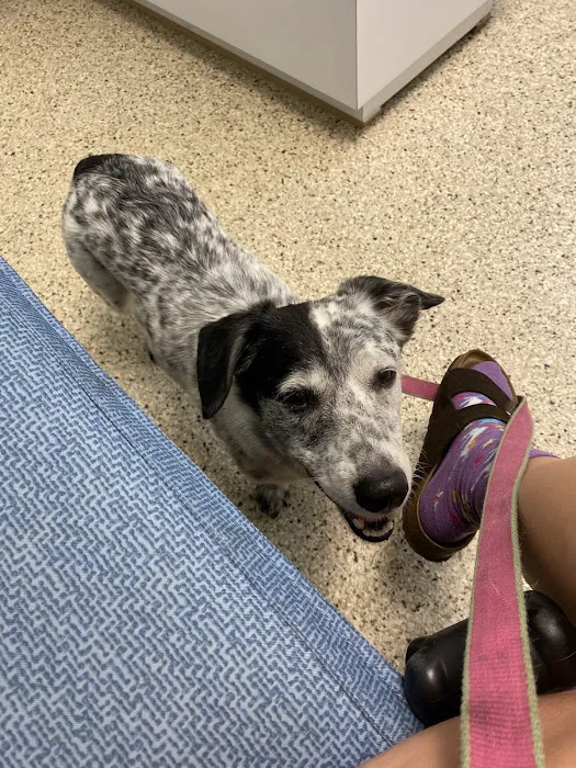 Cheatham County Animal Clinic 9