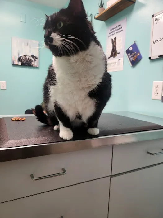Cheatham County Animal Clinic 3