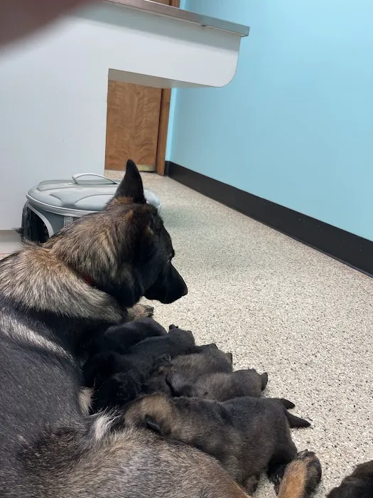 Cheatham County Animal Clinic 2