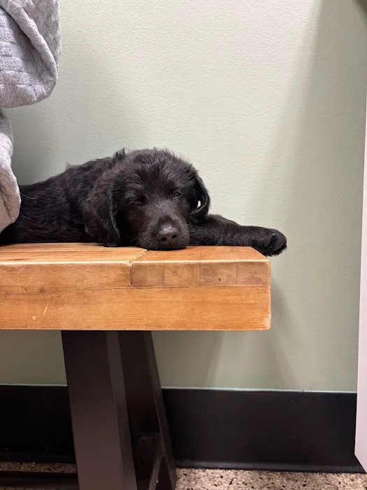 Cheatham County Animal Clinic 4
