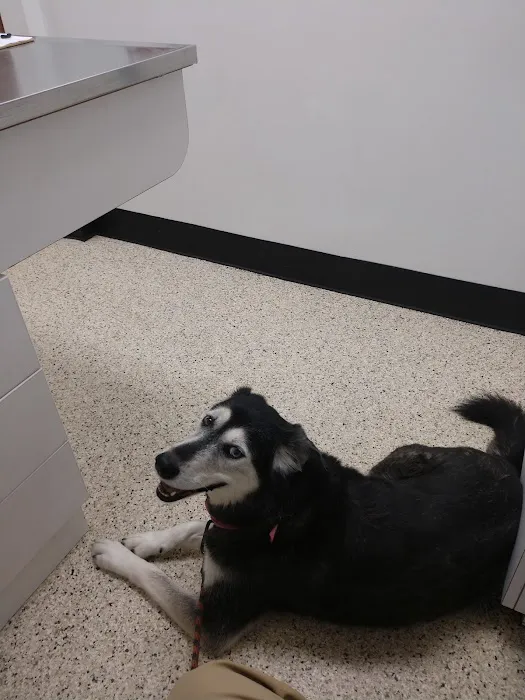 Cheatham County Animal Clinic 1