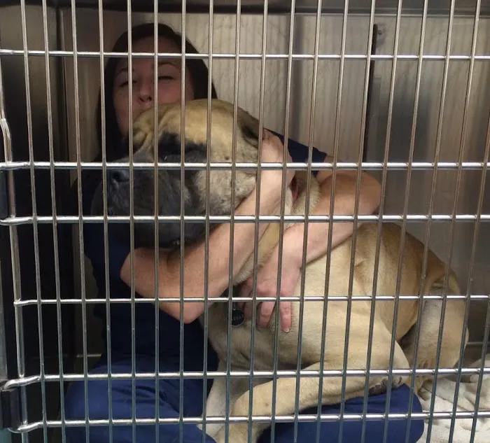 Lake Cumberland Animal Hospital 12