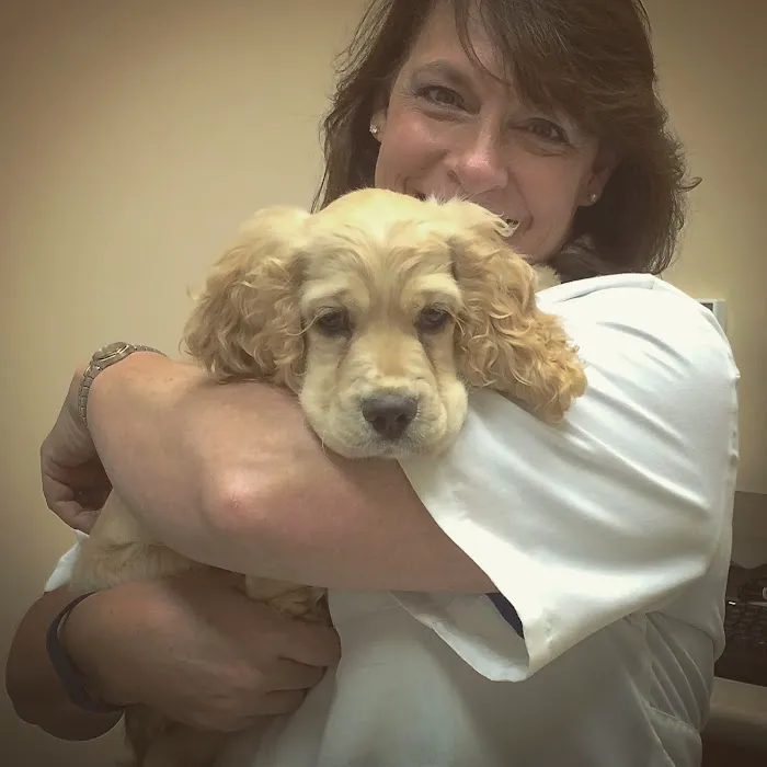 Lake Cumberland Animal Hospital 12