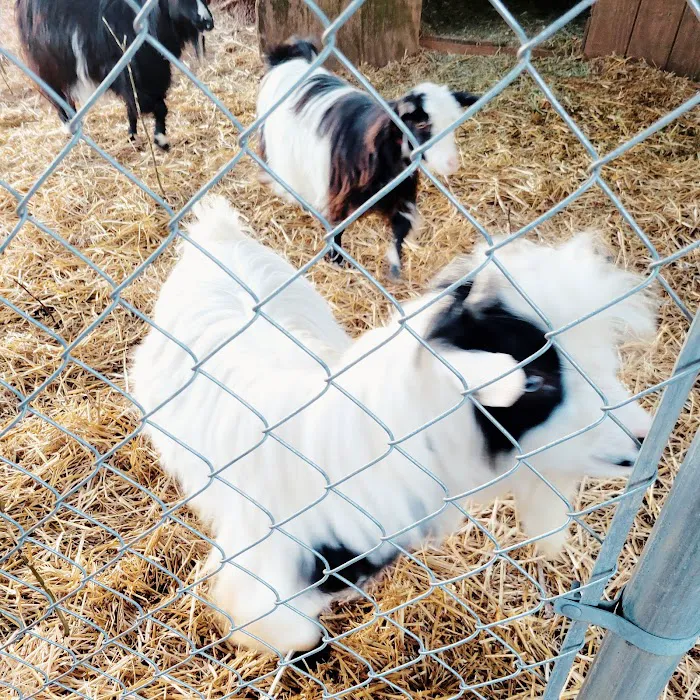 Somerset Animal Hospital 12