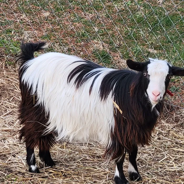 Somerset Animal Hospital 12