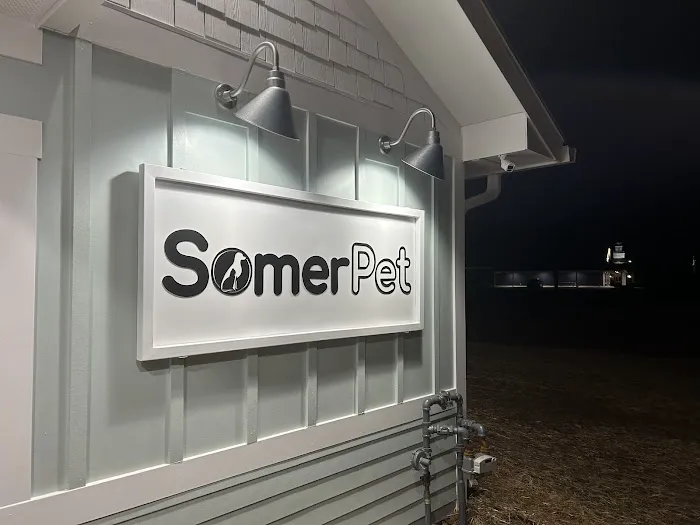 SomerPet 12