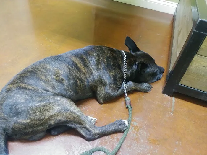 Coffey's Vet Center 12