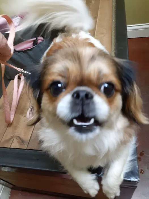 Coffey's Vet Center 12