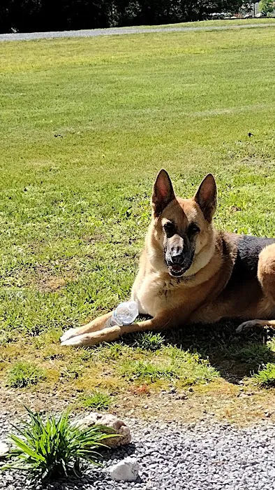 Coffey's Vet Center 12