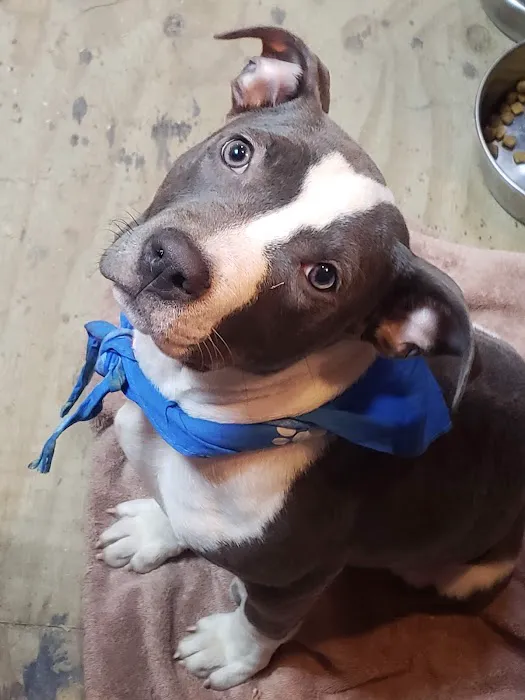 Coffey's Vet Center 12