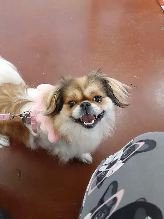 Coffey's Vet Center 12