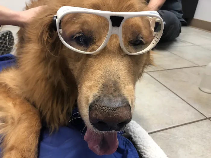 Adair County Animal Hospital 12
