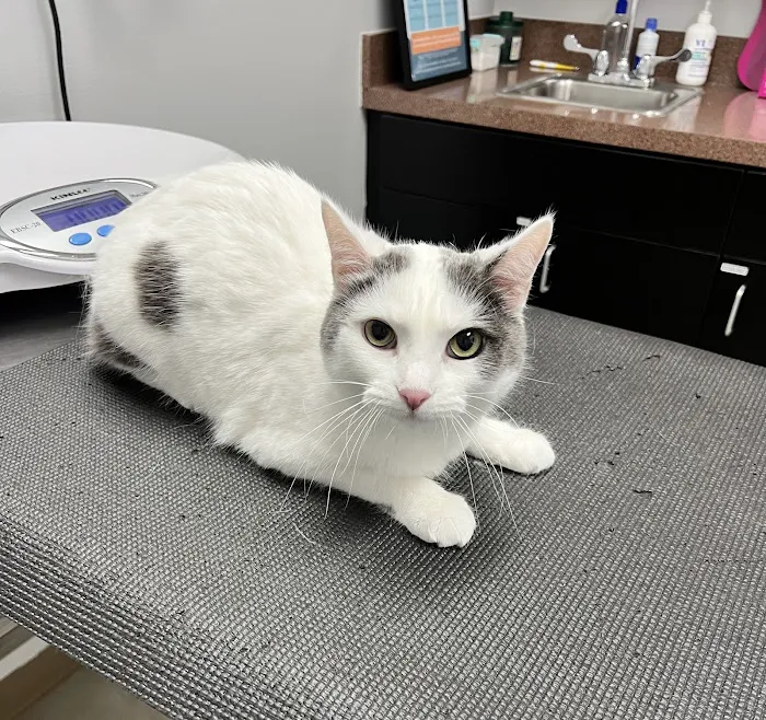 Adair County Animal Hospital 12
