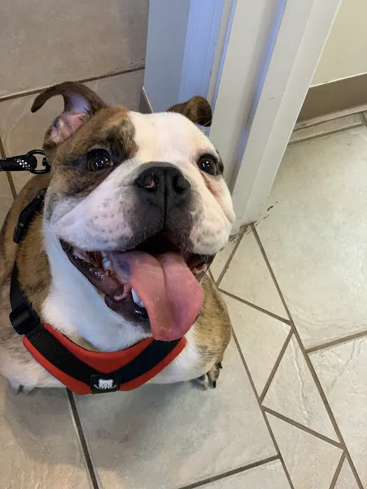 Adair County Animal Hospital 12