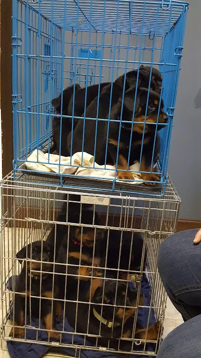 Casey County Veterinary Services PLLC 5