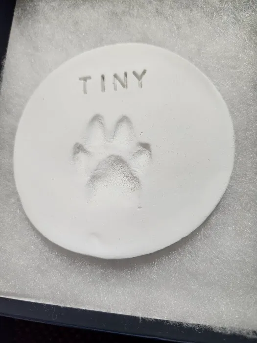 Emergency Animal Hospital: Saucedo Nicole DVM 2
