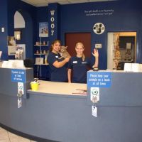 VCA Ben White Animal Hospital ico